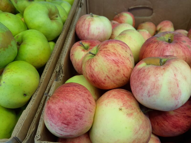 Maitsete aed- värskus otse loodusest!