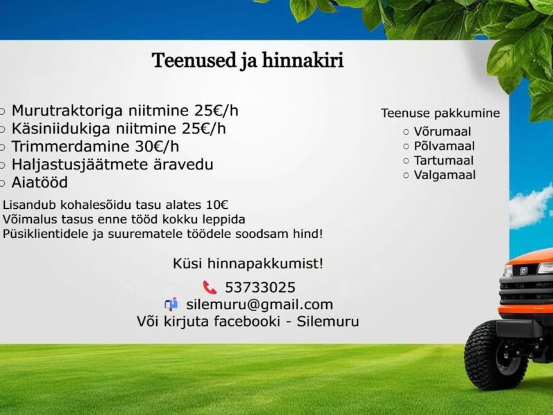 Niitmisteenus Lõuna-Eestis
