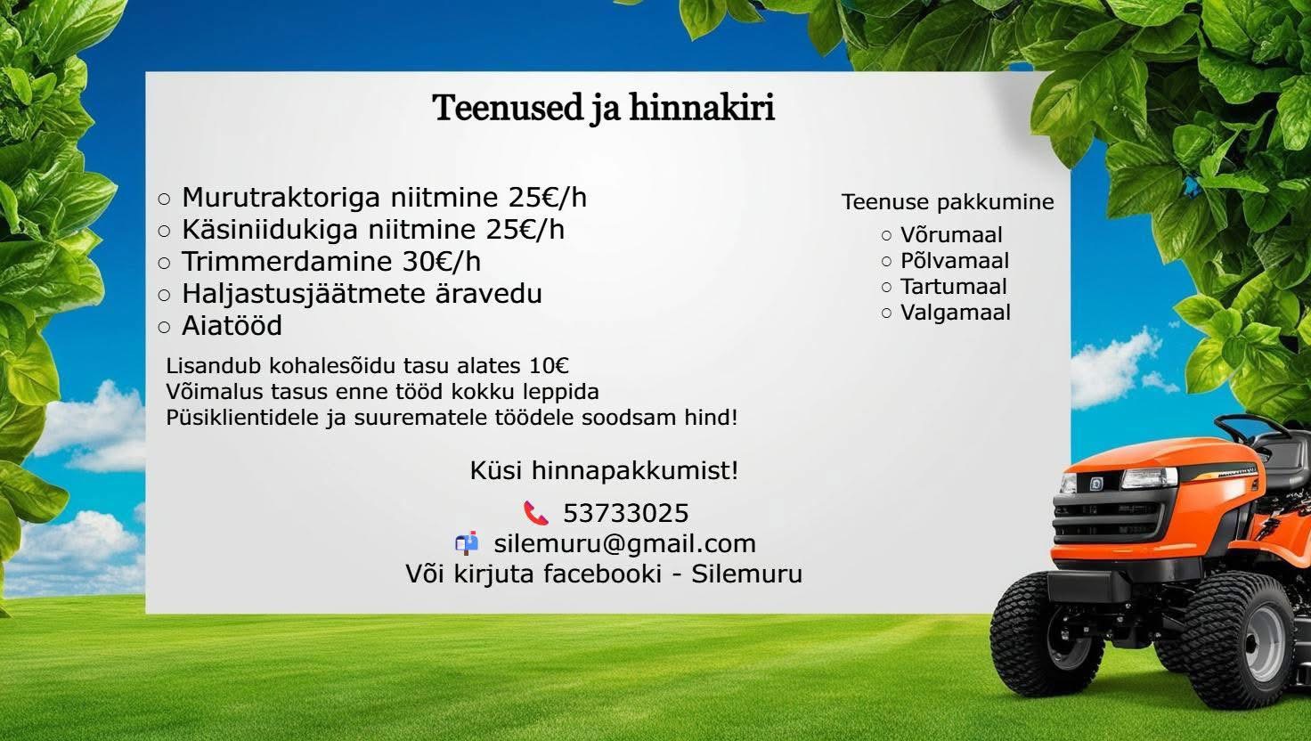 Niitmisteenus Lõuna-Eestis