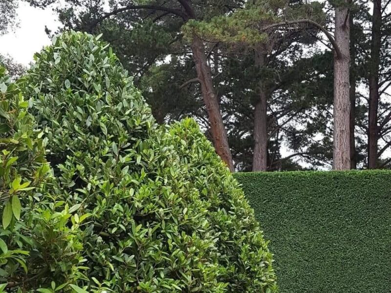 HEKKIDE PÜGAMINE ÜLE EESTI! | +372 58663693