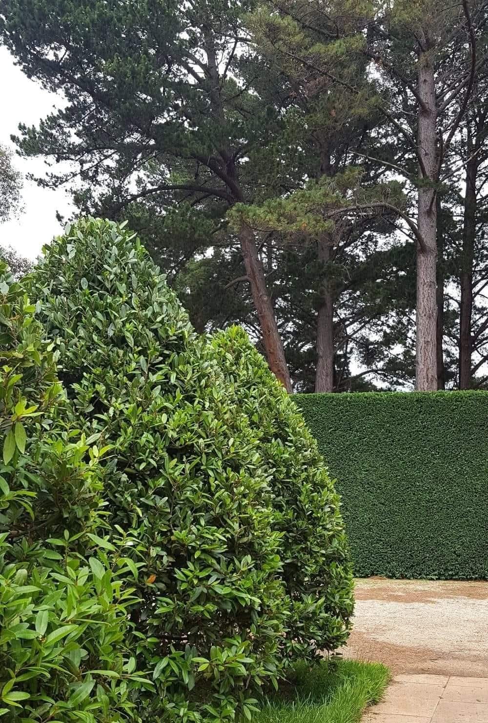 HEKKIDE PÜGAMINE ÜLE EESTI! | +372 58663693