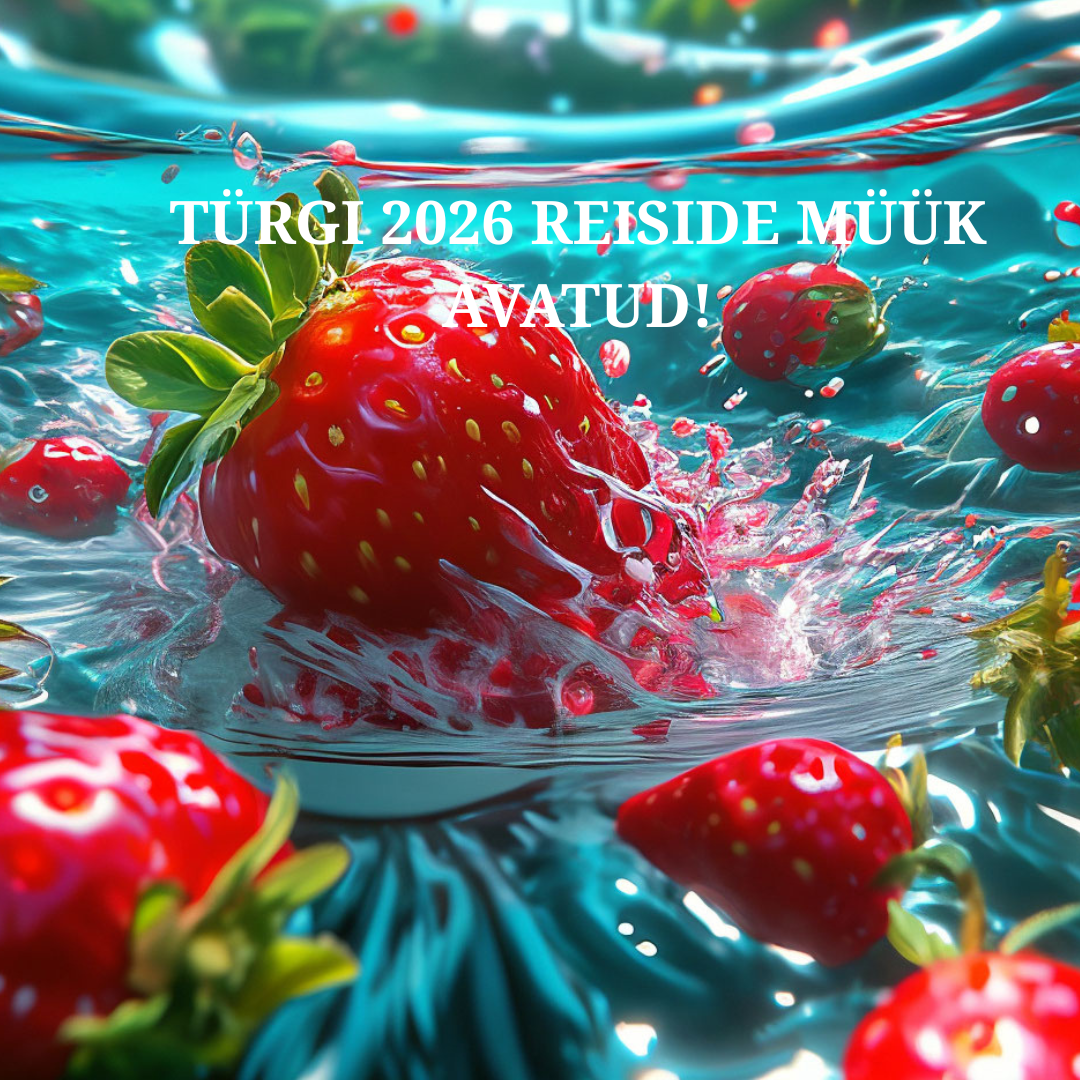 ☀️SUVI’26 Türgi müük on avatud! Esimene etapp kuni 18.08!